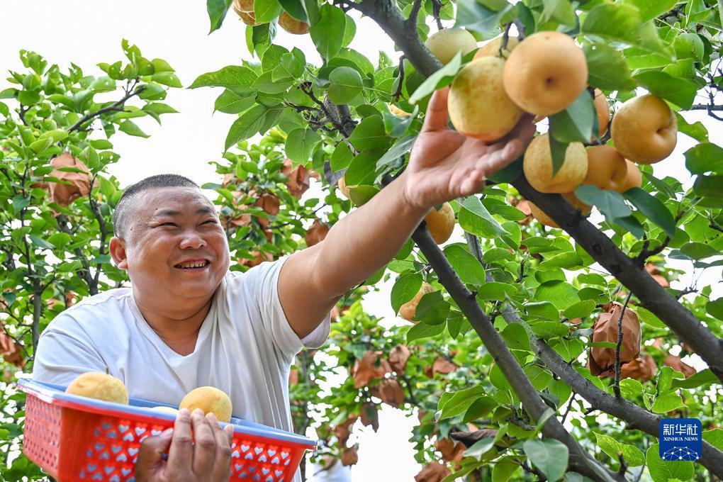 现金游戏在线